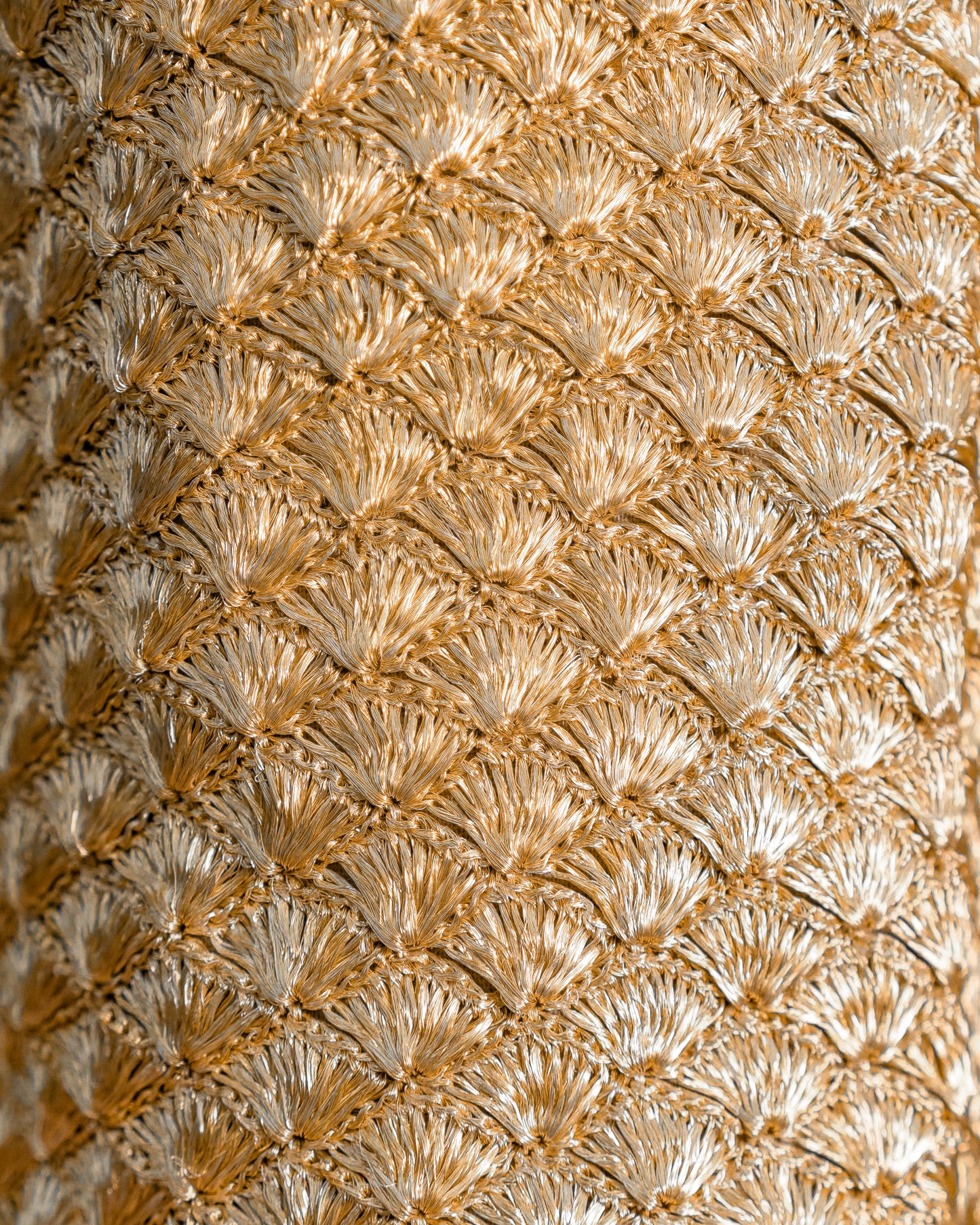 Seashell Clutch - Gold