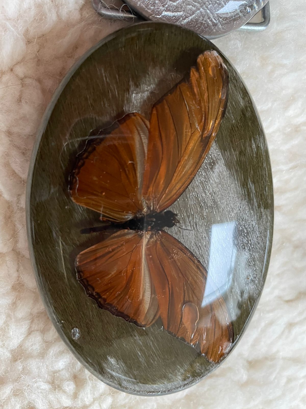 KMY Butterfly Belt