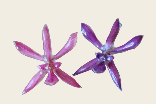 Medium Pink Earrings