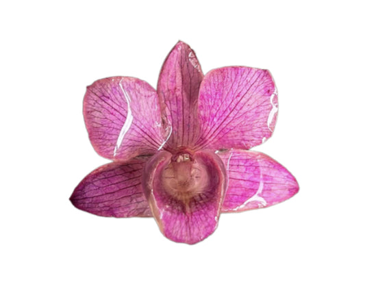 SOFTEN Small Pink Necklace