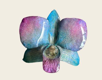 Blue/Lila Medium Necklace