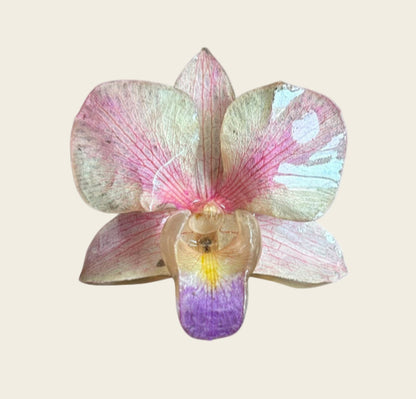 White/Pink Medium Necklace