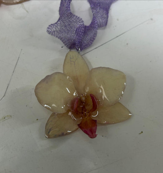 SOFTEN Pearl/Pink Medium