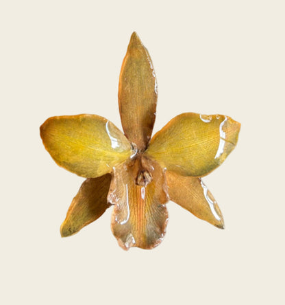 Yellow Large Necklace