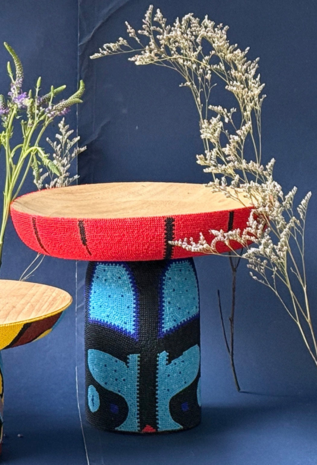 Fruit Bowl Insecta