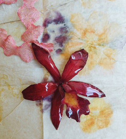 Magenta  Large Necklace