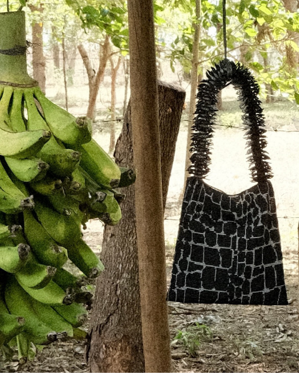 Clash Of Prints In Black And White