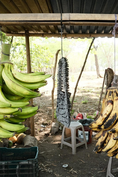 Clash Of Prints In Black And White