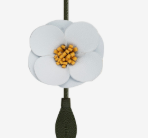 Flower Belt