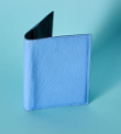 Passport Holder