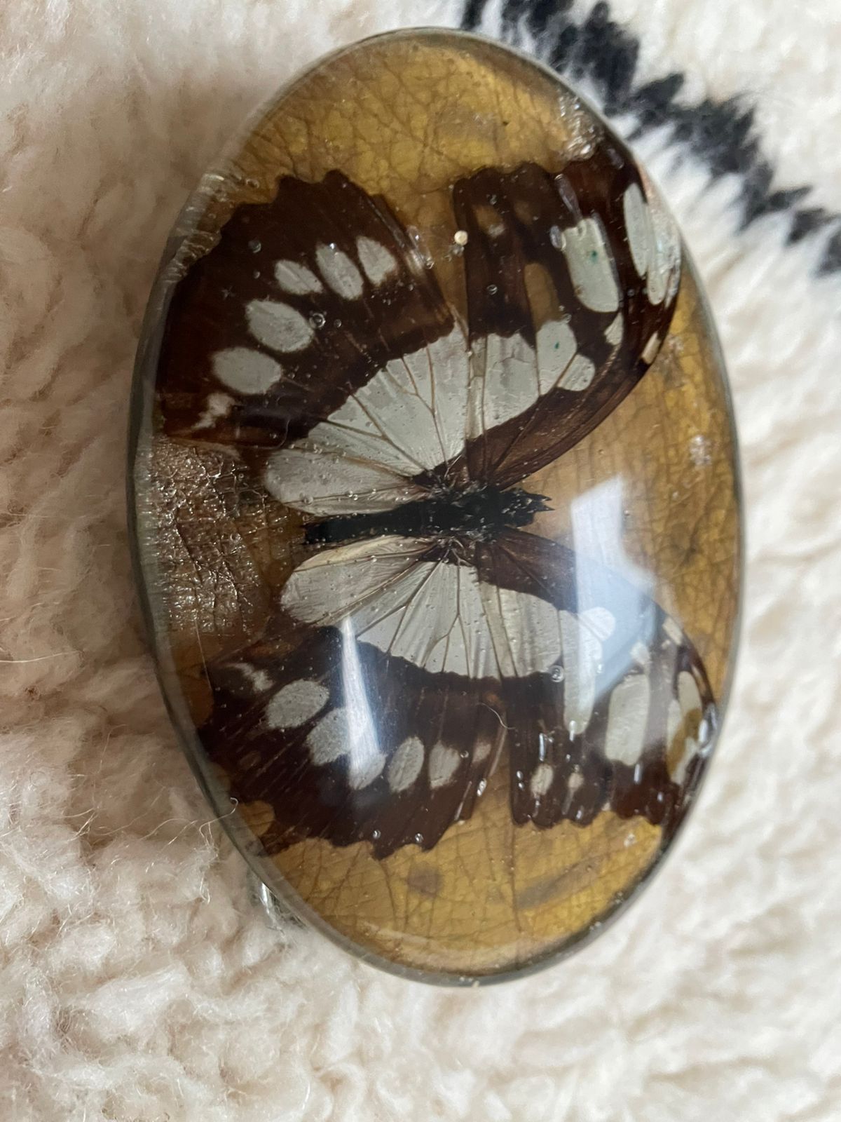 KMY Butterfly Belt