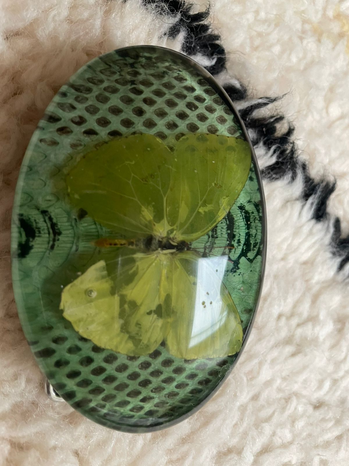 KMY Butterfly Belt