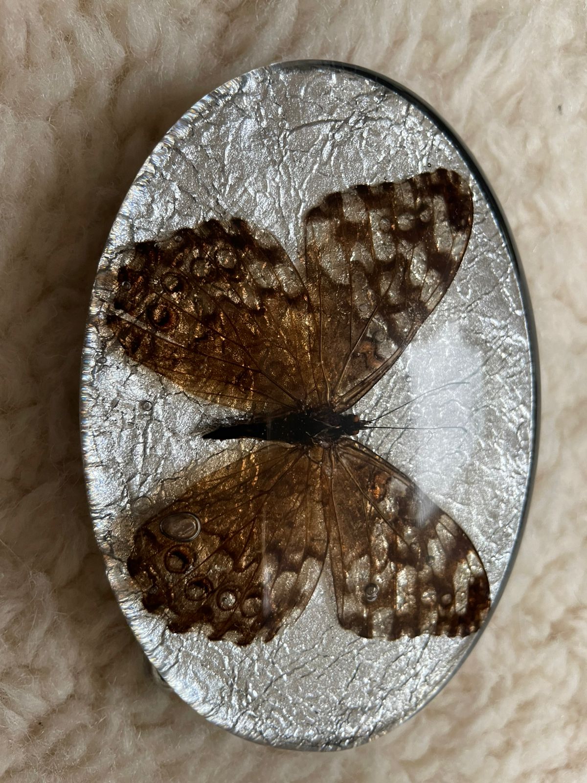 KMY Butterfly Belt