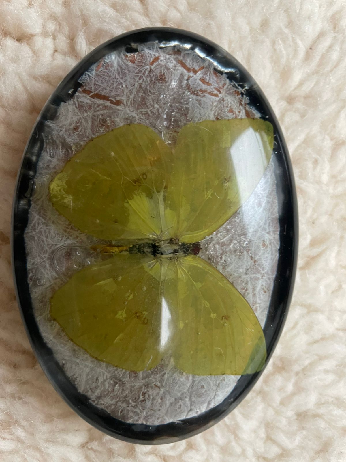 KMY Butterfly Belt