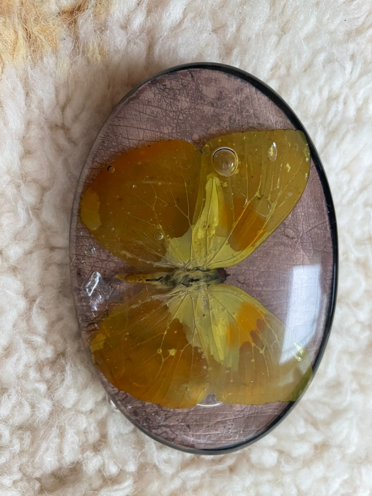 KMY Butterfly Belt