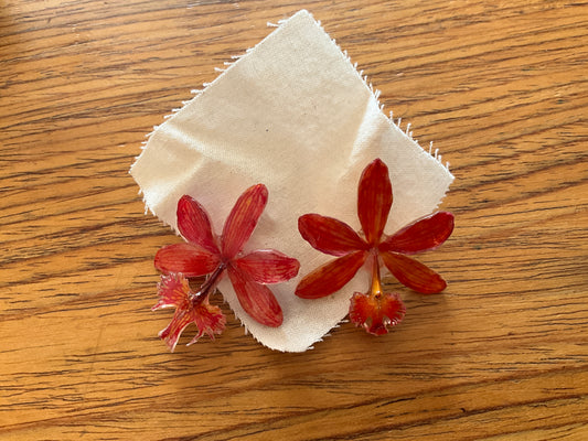 SOFTEN Rosas Earrings