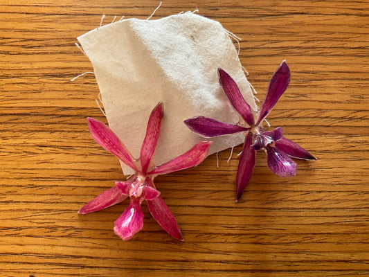 SOFTEN Rosas Medium Earrings